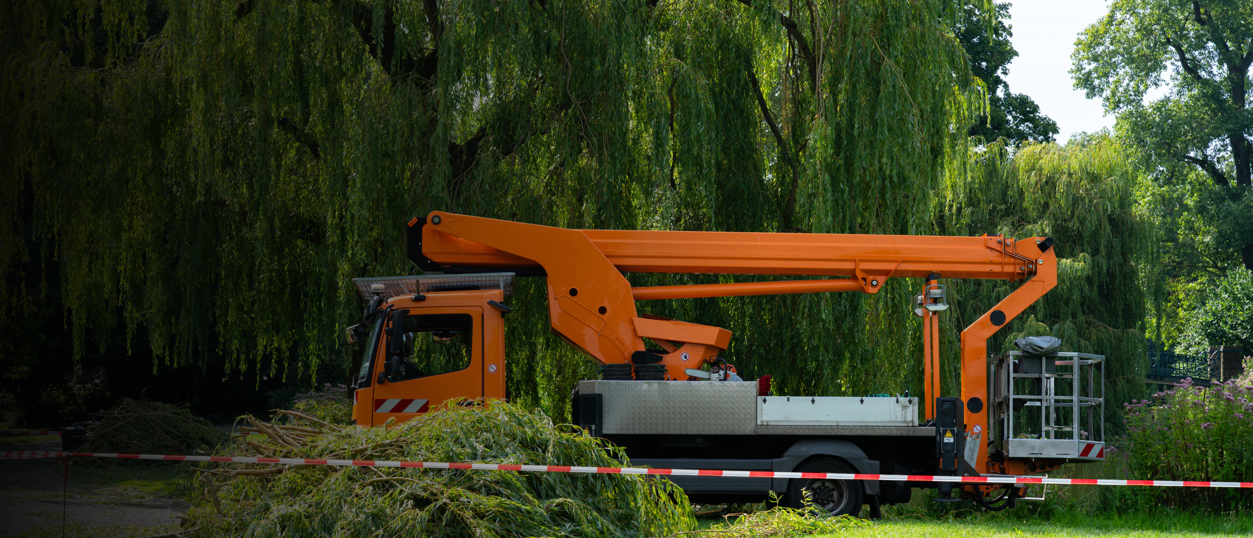 J&M Trees & Hauling hero 2