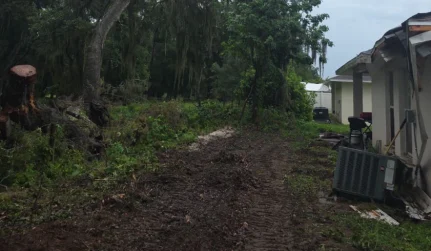 Land Clearing