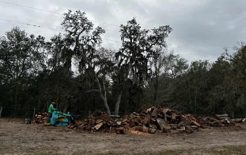 Stump Grinding & Removal (1) Stump Grinding & Removal (1)