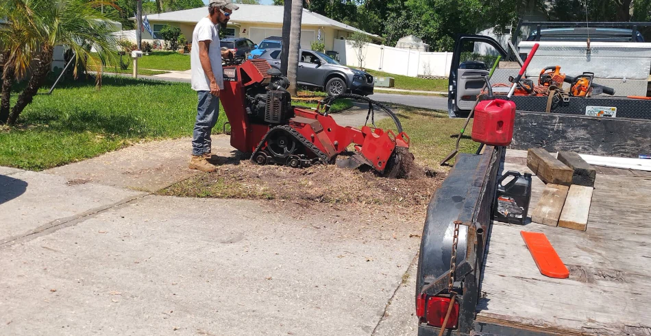 Stump Grinding & Removal Stump Grinding & Removal