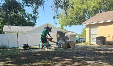Tree Removal
