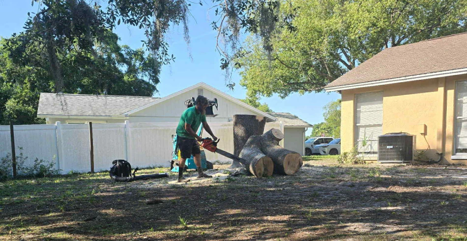 Tree Removal Tree Removal